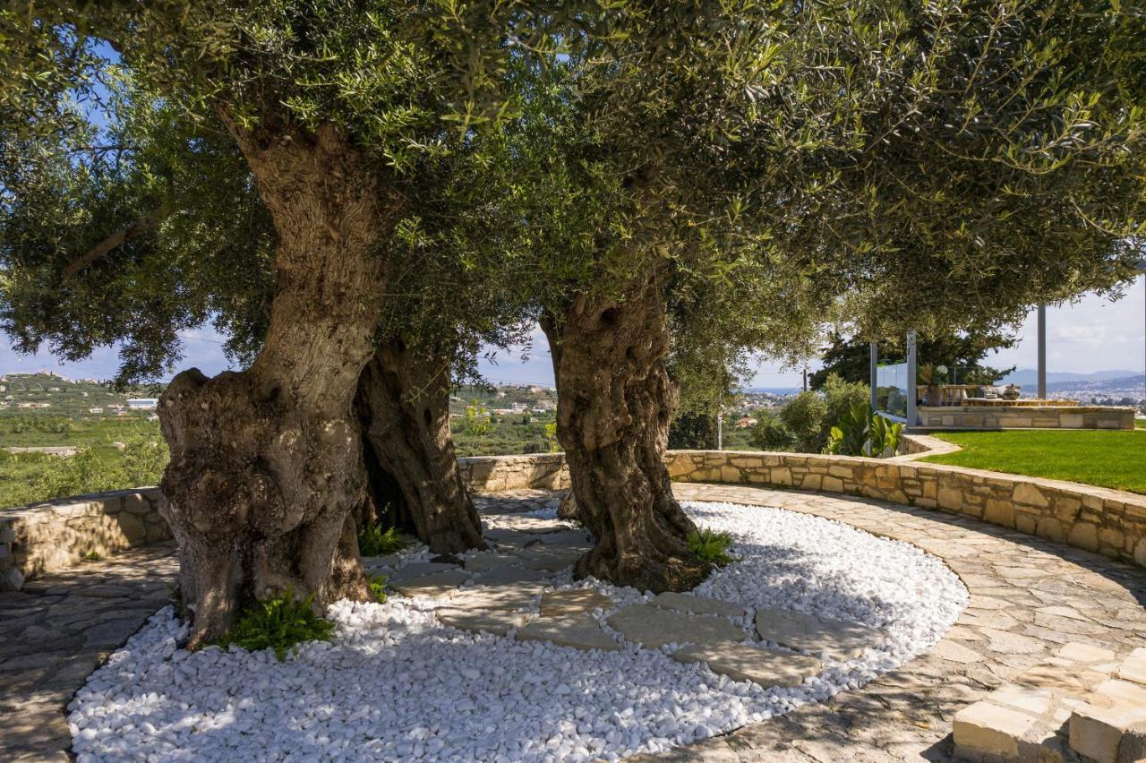 Olivenest Chania Executive Villa Perivólia 外观 照片